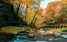 重磅！漢中這家4A景區(qū)全民免門(mén)票！縮略圖