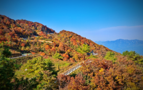 已經(jīng)紅了，快來(lái)漢江源看彩林！縮略圖