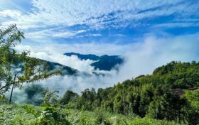 鎮(zhèn)巴最新出游打卡地，讓你心動又驚喜!縮略圖