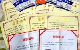 優(yōu)秀！城固縣兩名學(xué)生喜獲世界機器人大賽國賽二等獎 →縮略圖