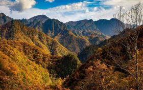 冬日快來(lái)佛坪，體驗(yàn)零霧霾小城大口呼吸的暢快！縮略圖