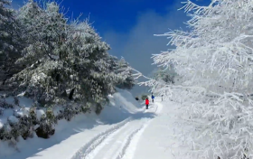 一場(chǎng)浪漫冬雪，讓鎮(zhèn)巴美出圈！縮略圖