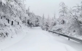 雨夾雪！小雪！小到中雪！漢中氣象發(fā)布黃色預(yù)警信號→縮略圖