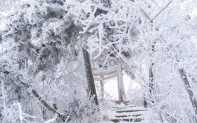 賞雪時節(jié)已至，漢江源邀您感受白色浪漫！縮略圖