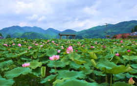 即將啟用監(jiān)控設(shè)備！設(shè)置地點→縮略圖