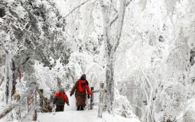 今日陜西全省陰天間多云 28日起將迎來新一輪雨雪天氣縮略圖