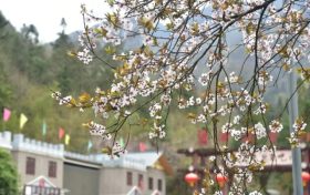 漢江源云海索道年檢，3月27日起索道臨時(shí)停運(yùn)縮略圖