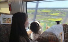 坐著高鐵穿花海！這趟列車(chē)太“治愈”了！縮略圖
