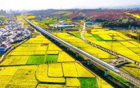 坐上高鐵去漢中，共赴一場(chǎng)浪漫之旅！縮略圖