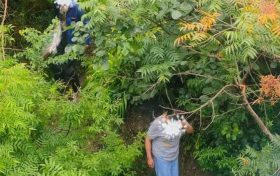 行人為走捷徑欲橫穿高速，漢中高速交警及時(shí)勸離縮略圖