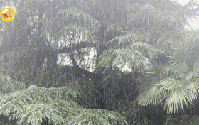 未來(lái)三天，陜西有強(qiáng)降水天氣過(guò)程，局地短時(shí)暴雨，具體預(yù)報(bào)→縮略圖
