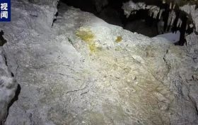 國(guó)內(nèi)罕見！陜西漢中發(fā)現(xiàn)完整度較高的大熊貓化石縮略圖