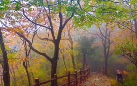 7日6時(shí)20分立冬：昨夜清霜冷絮裯，紛紛紅葉滿階頭縮略圖