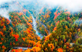 福利來(lái)啦！漢中、商洛、寶雞、咸陽(yáng)這些景區(qū)免票→縮略圖