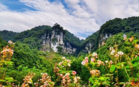 漢中黎坪景區(qū)冬日暫別，相約2025年春之盛景縮略圖