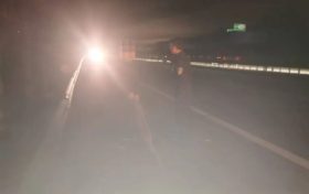 有“警”無險！老人迷路誤入高速，交警及時救助縮略圖