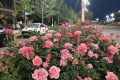 陜西發(fā)布消費提示！警惕“零團費”等不合理低價產(chǎn)品縮略圖