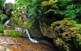 漢臺(tái)區(qū)關(guān)于加強(qiáng)鳥類等野生動(dòng)植物保護(hù)的通告縮略圖