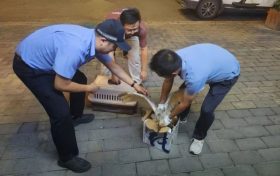 漢臺警民攜手救助一只國家一級保護動物縮略圖
