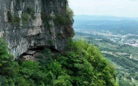 “鎮(zhèn)巴毛尖”商標獲批 漢中市地標再創(chuàng)新高縮略圖
