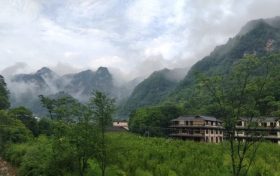 橘子吃多了為什么會變成“小黃人”？縮略圖
