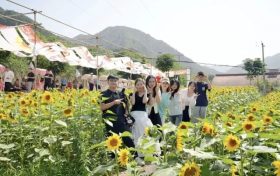 “鄉(xiāng)”聚力量·“創(chuàng)”新未來丨來留壩，給旅行加點“文化”料縮略圖
