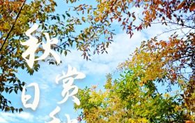 這個(gè)秋天一定要來(lái)草川子景區(qū)，彩林已經(jīng)進(jìn)入最佳觀賞期啦！縮略圖