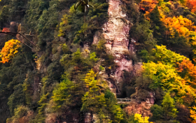 九月九，登九鼎！草川子的秋日盛宴已開席縮略圖