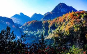 草川子生態(tài)康養(yǎng)旅游度假區(qū)今日恢復開園，正常接待游客縮略圖