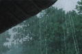 新一輪降雨，上線！縮略圖