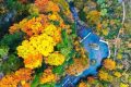 2025漢中黎坪紅葉季10月15日盛大啟幕！18日、19日免門票！縮略圖
