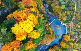 2025漢中黎坪紅葉季10月15日盛大啟幕！18日、19日免門票！縮略圖