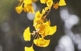 速看！2025年漢中市中小學(xué)寒假時(shí)間公布縮略圖