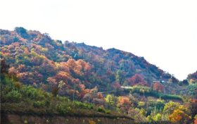 “建議拆完快遞的紙箱立即扔掉”縮略圖