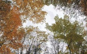 最低-9.7℃！陜西降溫、降雨！漢中→縮略圖