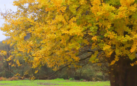 秋假學(xué)子免票游草川子，解鎖秋日里的彩林&石林，速速碼住！縮略圖