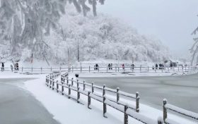 【冬季預告】等一場雪，赴漢江源的秦巴冬約縮略圖