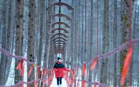 當(dāng)紫柏山開(kāi)始“留白”，一幅冰瀑為骨的冬日畫(huà)卷正在醞釀…縮略圖