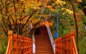 周末天氣如何？陜西最新天氣預(yù)報(bào)→縮略圖