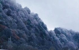 本輪寒潮將持續(xù)多久？何時(shí)能夠回暖？縮略圖